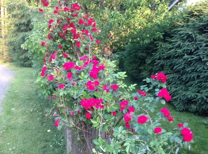 Hundeurlaub Im Tiny House Im Wald 度假居 Tanna