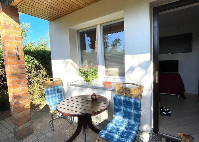 Hundeurlaub Im Tiny House Im Wald