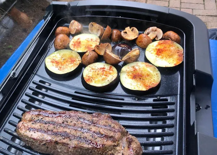 Hundeurlaub Im Tiny House Im Wald Vakantiehuis Tanna