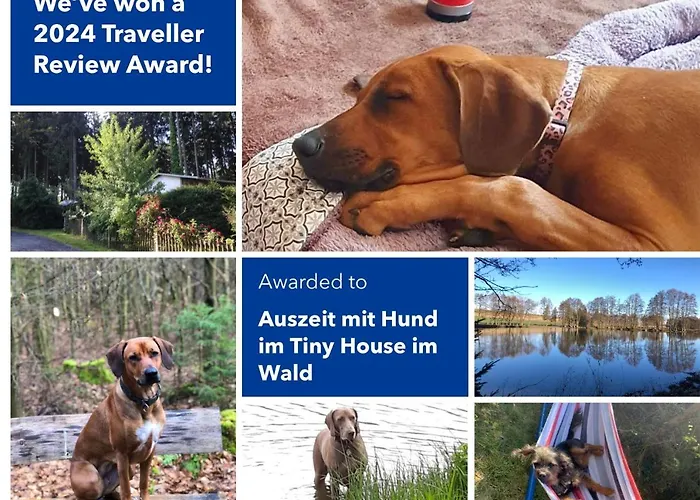 Hundeurlaub Im Tiny House Im Wald Tanna