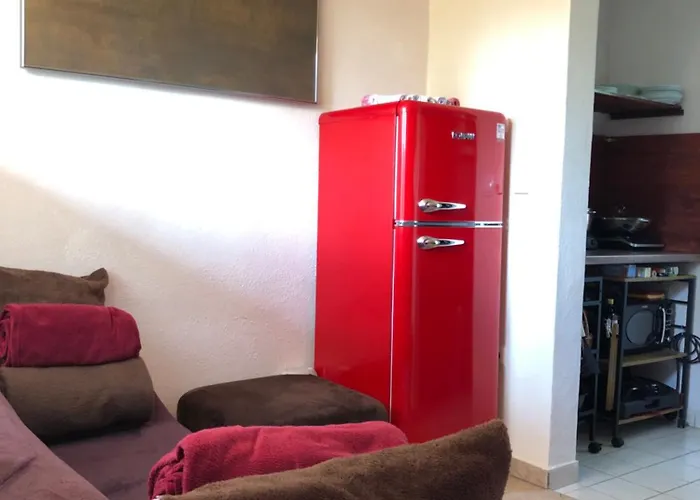 Hundeurlaub Im Tiny House Im Wald Tanna