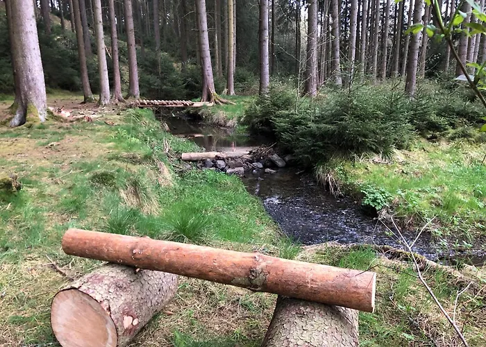 Hundeurlaub Im Tiny House Im Wald