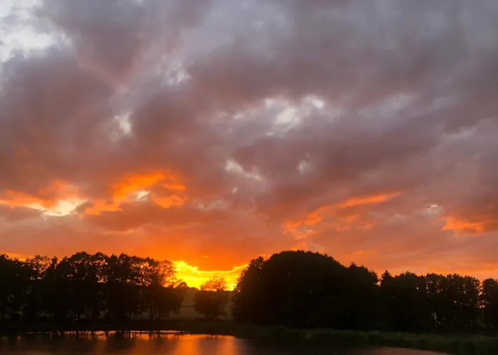 Hundeurlaub Im Tiny House Im Wald