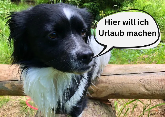 Vakantiehuis Hundeurlaub Im Tiny House Im Wald *
