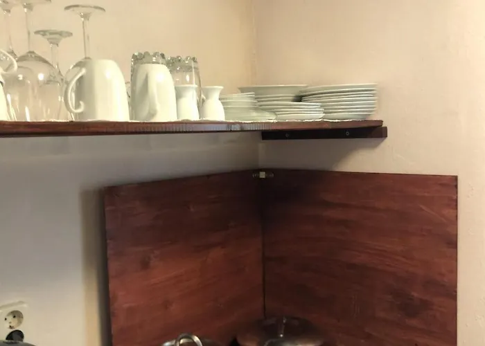 Hundeurlaub Im Tiny House Im Wald Vakantiehuis *