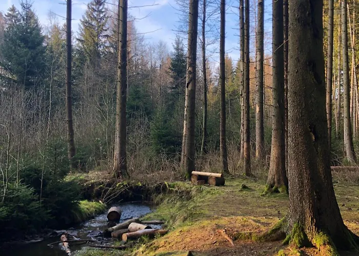 Vakantiehuis Hundeurlaub Im Tiny House Im Wald Tanna