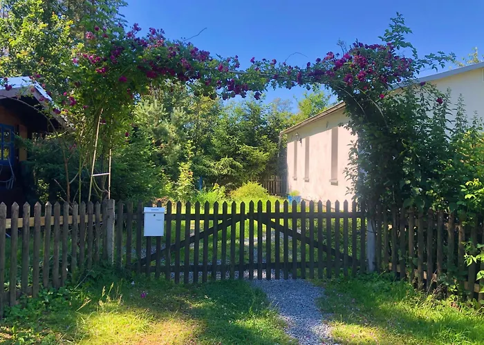 Hundeurlaub Im Tiny House Im Wald