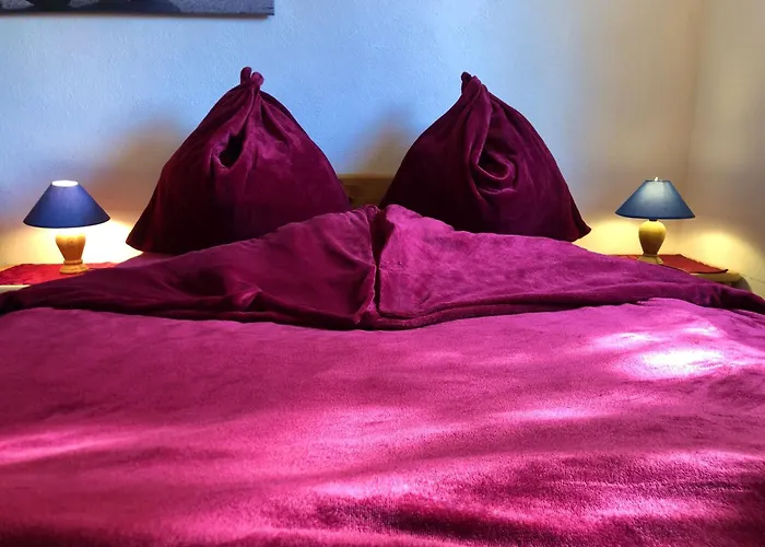 Hundeurlaub Im Tiny House Im Wald Vakantiehuis