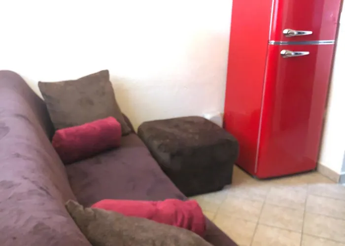 Vakantiehuis Hundeurlaub Im Tiny House Im Wald