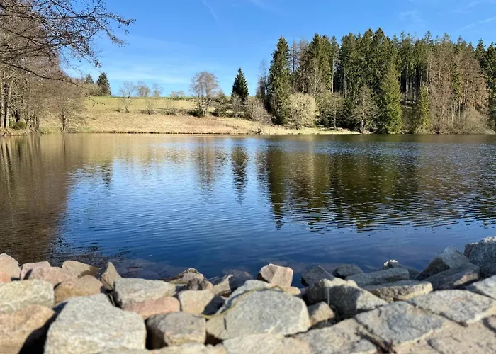 Vakantiehuis Hundeurlaub Im Tiny House Im Wald *