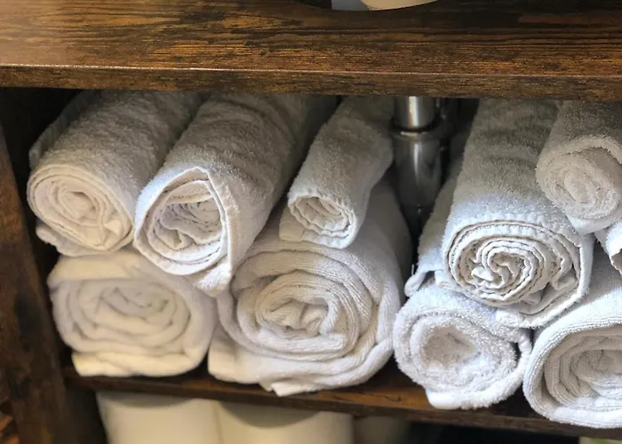 Hundeurlaub Im Tiny House Im Wald