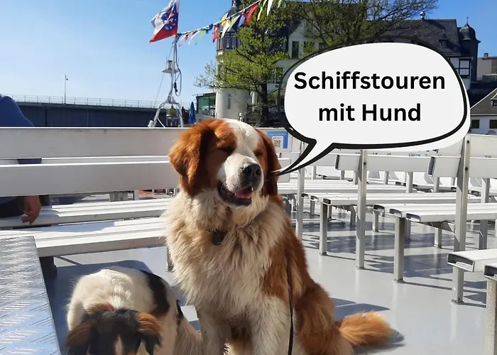 Vakantiehuis Hundeurlaub Im Tiny House Im Wald