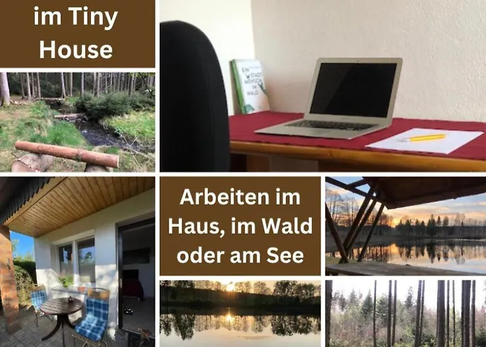 Hundeurlaub Im Tiny House Im Wald Tanna