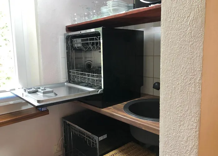 Hundeurlaub Im Tiny House Im Wald *