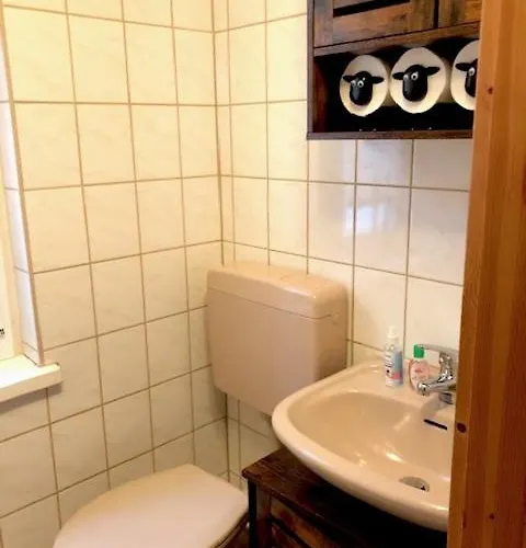 Hundeurlaub Im Tiny House Im Wald Tanna